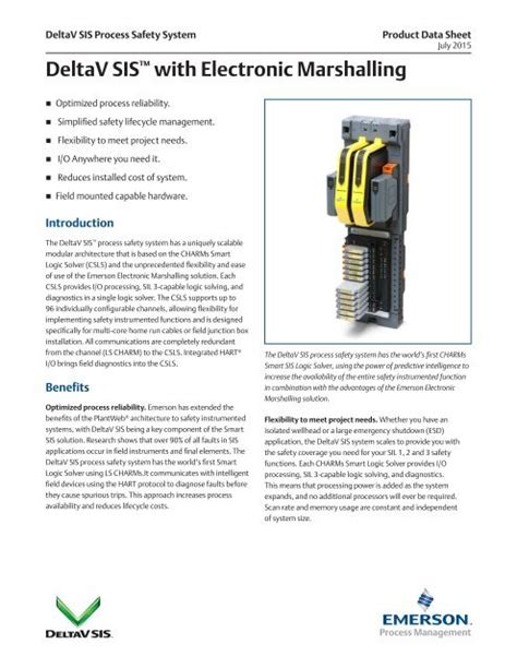 DeltaV Electronic Marshalling